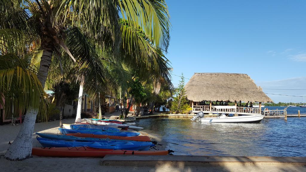 Alan'S Paradise Hotel Placencia المظهر الخارجي الصورة
