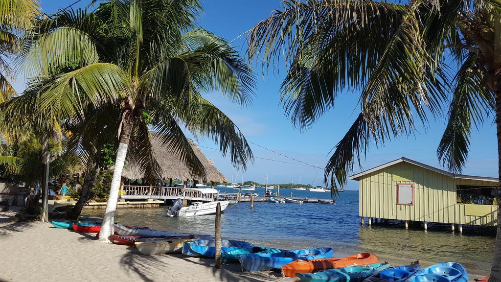 Alan'S Paradise Hotel Placencia المظهر الخارجي الصورة