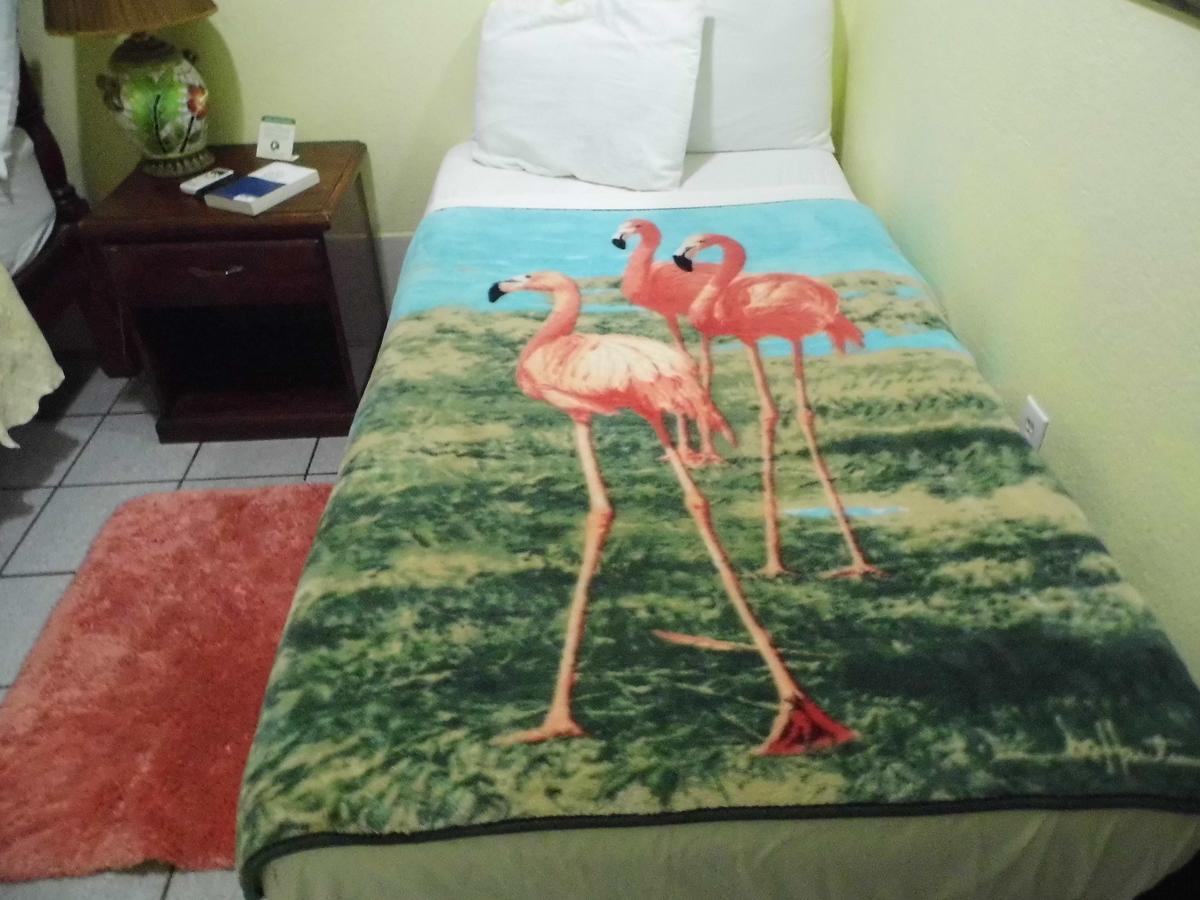 Alan'S Paradise Hotel Placencia المظهر الخارجي الصورة